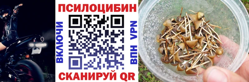 гидра   наркотики  Кушва  Галлюциногенные грибы прущие грибы 