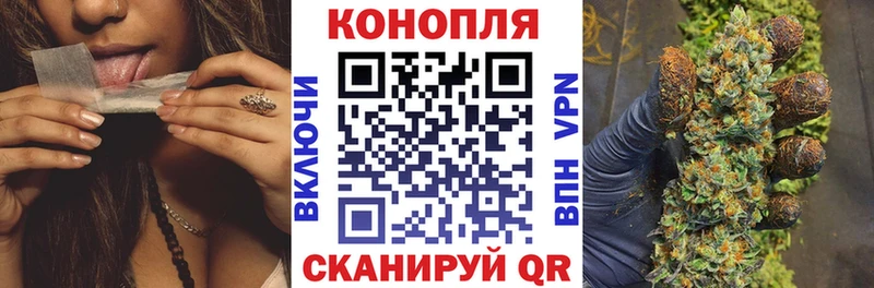Канабис индика  Кушва 